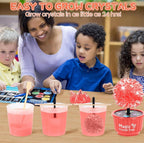 (NEW, MSRP 24.99$) 4 Color 24-Hour Crystal Growing Kit, STEM Education DIY Kit