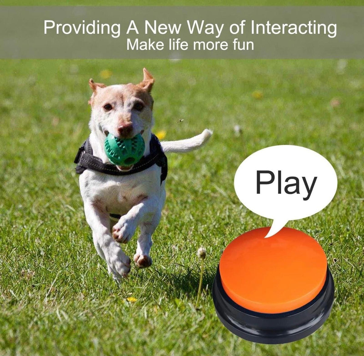 (NEW MSRP $24.99) 4 Color Voice Recording Button, Dog Buttons for Pet Training